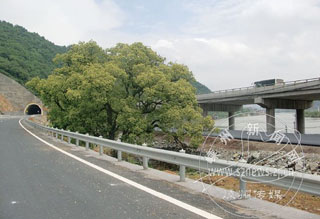 ���̽��費����̬����