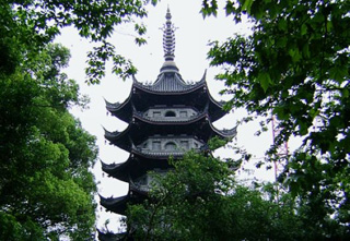 Ӧ������������