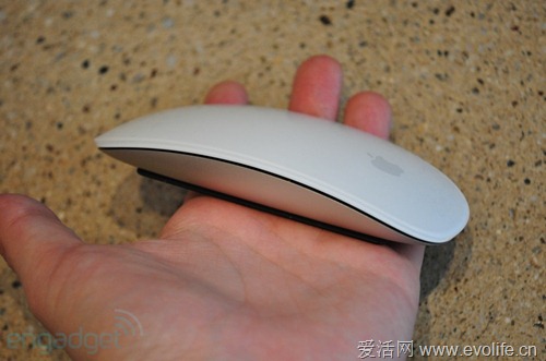 Apple Magic Mouse Apple Magic Mouse