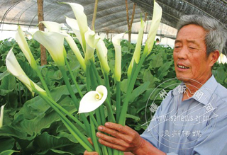 �������л��� ���Ӿ���Ч��