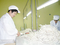 �����̬��������ｵ���Ʒ2���