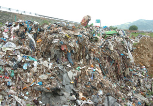 �ܶ���������������վ�ضξ�����Ȼ������