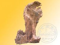 �ų�ľ��񡶺�ɽ��衷����