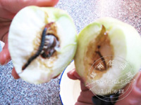 �뾯���г涴��ˮ����