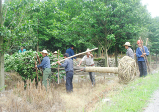 ��ľ���˺���·