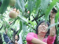 ����ˮ���ҷ���