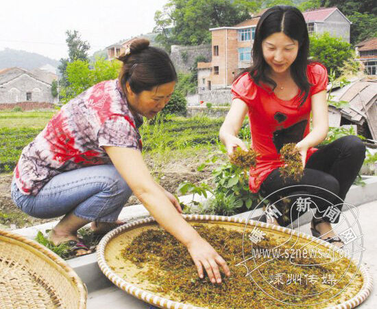 ������ ������ һһ���»�Ʊ��