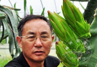 �ȴ��������������ز�