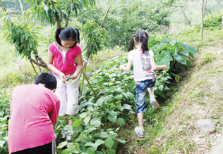 �����ȥũ��ɶ���