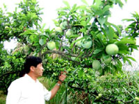 ��ͥ�������µ׿�����