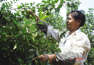 �Ϸ�����ƻ��  �������������