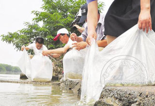 ������������Ϫ