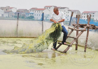 ����һũ���ģ��ֳ����