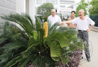 ���������·���