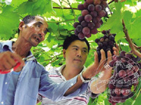 ����԰��ࡰ���� ��������������