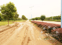 �ö˶�һ���ǻ������� �����׾������ɳ·��