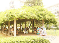 ���ټ���������� ���ټ�����ˬ�紺