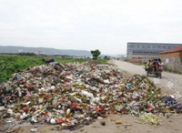 ����̫�� �������ֳɹ���