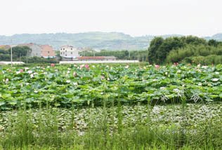 �ֵ��ͺ�ʱ �ɻ�������