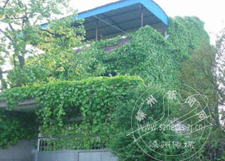 ǽ��������䡱 ���ž�����