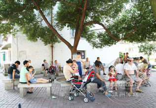 �������ºó���