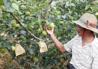 ��ѧ�ֹ�Խ��Խ��