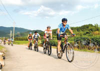 ȫ����������εȻ�ɷ�