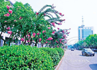 �ٺ�·����ޱ��װ������շ羰