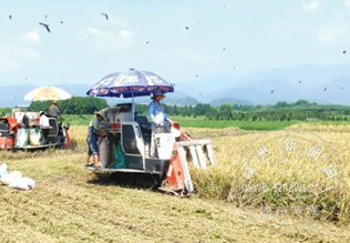 ȫ��ˮ��ȫ�̻�е����ҵ�ʴ�62%