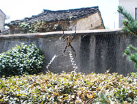 ֩��֯������Ӣ����ĸ