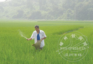 22��Ķ��������������