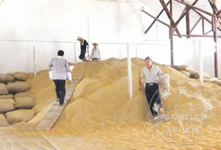 �絾�չ�����