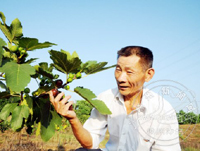 �����޻���������