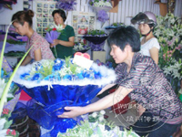 ��Ϧ�ڵ� ��������