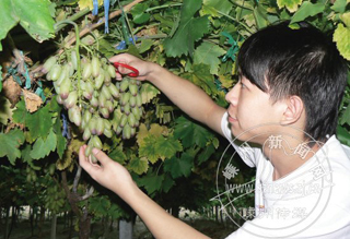 ���о�Ʒ����ϲ��ȫ���� 