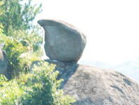 ��ͥ����ɽ�Ϸ��֡�����ѥ������