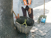 ���������� �������ܲ����Ź�