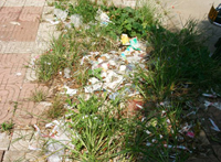 �е�����ɨ ���೤�Ӳ�