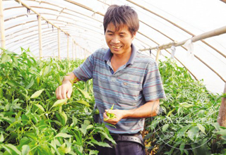 ÿ�칩Ӧ����1500����