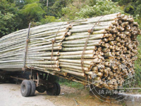 ������������֪����