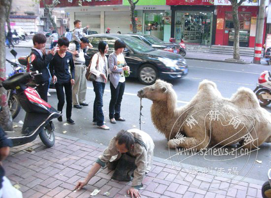 �߳ǽ�ͷ���֡�������ؤ��