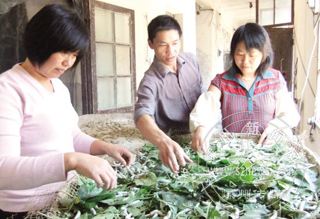 ��������������л���