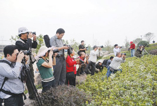 �����Ĳ���