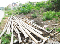 �ߵ�һ�Ƕ�ë�� Ӱ���������̻�