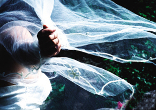 ��Ҷ����� ������ҿ�