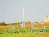 ��ɽ���ϸ���� ���ջ�ɽ���԰