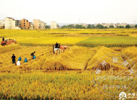 ��Ұ�ϵĻ�е��