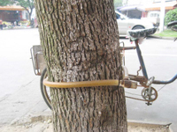 ˭���������ɰ�