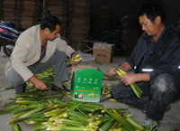 ��������ȫ������