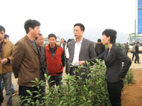 ר����˵��Ʒ�ֲ���